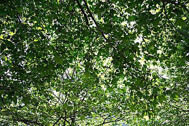 《真女神转生5》Vol.4公布 多个DLC同步发售