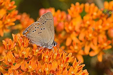 Xbox去年圣诞假期收入下滑了13%